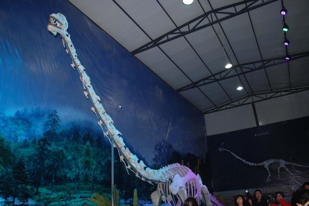 160 million year old dinosaur with unusually long neck discovered in China