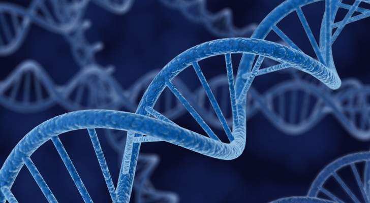 Closed conference on synthetic human genomes causes concerns