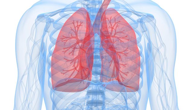 How to decrease the chances of lung and colorectal cancer?