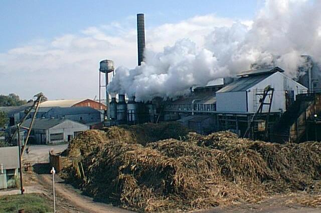 Sugar Industry has a direct link to Cavity Prevention during the early years