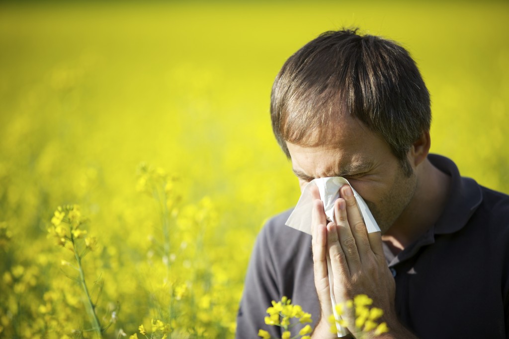 Employing preventive measures before the arrival of spring allergies is better alternative than treating the allergies