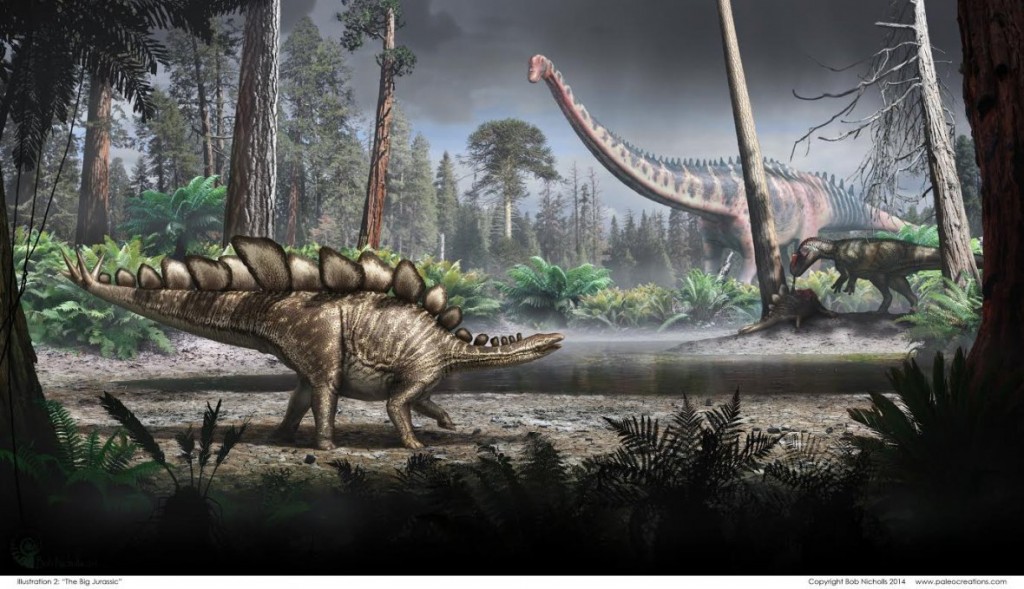 Paleontologists find 150 million years old Stegosaurus Dinosaur weighed 3527 pounds