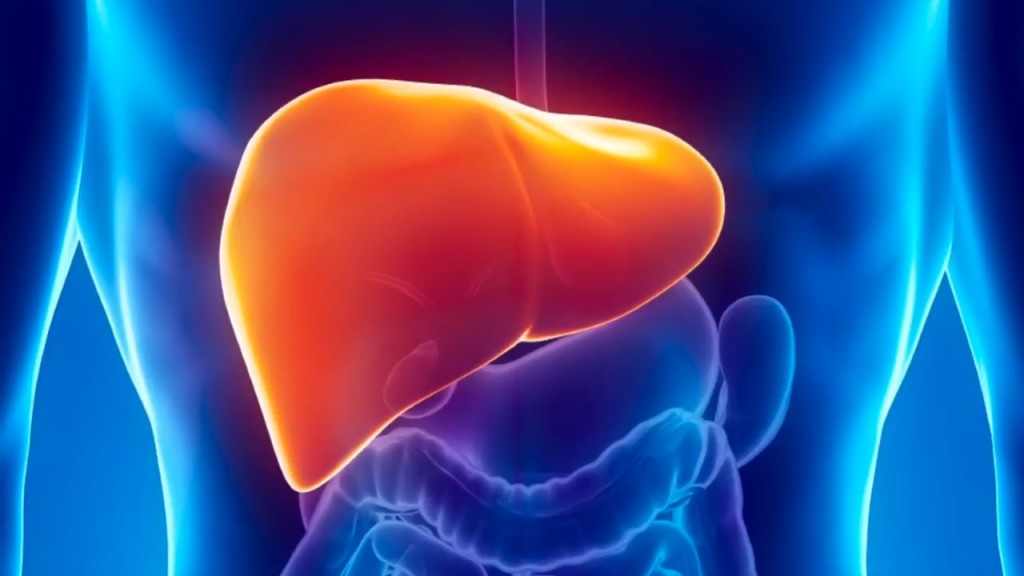 New study claims Hepatitis C does more than just increase risk of liver cancer