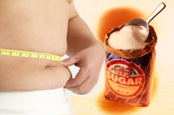 sugar-obesity-web