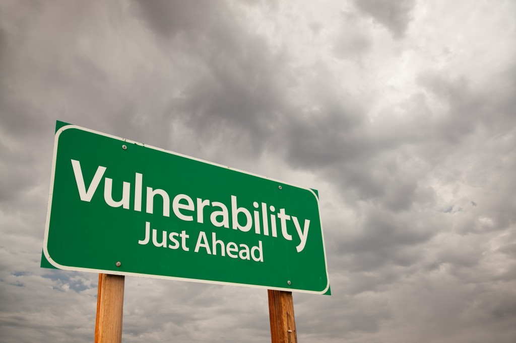 Vulnerability-Just-Ahead