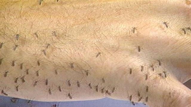Mississippi confirms more cases of West Nile Virus