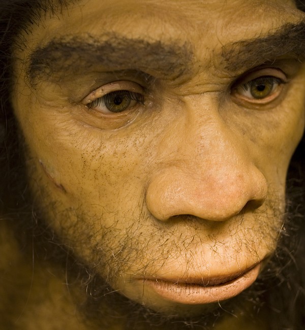 Oldest Neanderthal DNA provides clues to human origins