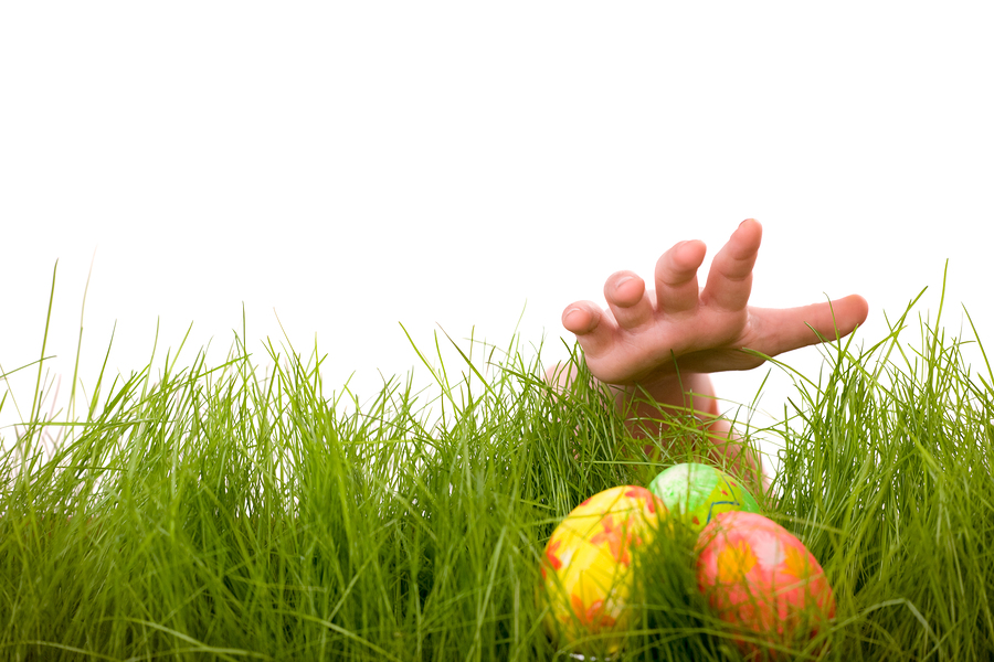 Taking candy from a baby – unruly adults ruin kids’ Easter egg hunt
