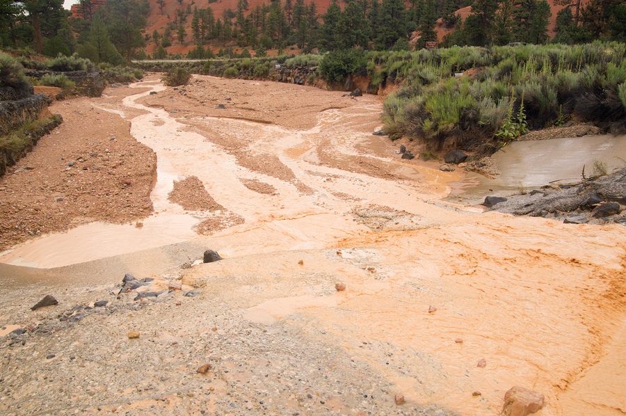 Heavy rain over world’s driest regions another indication of global warming