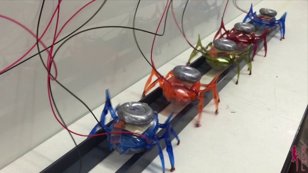 Super strong tiny robots modeled after ants can even pull a car [VIDEO]