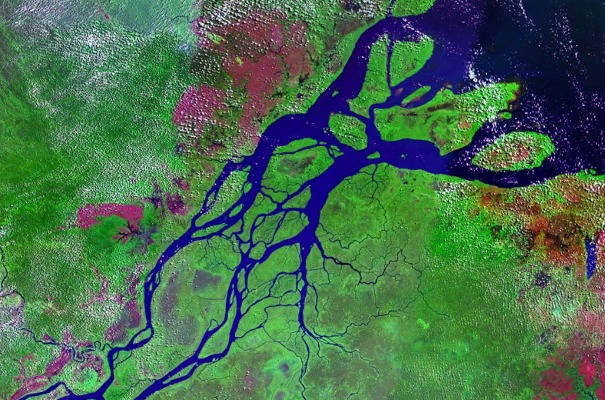 Massive reef discovered at Amazon river could be under threat already