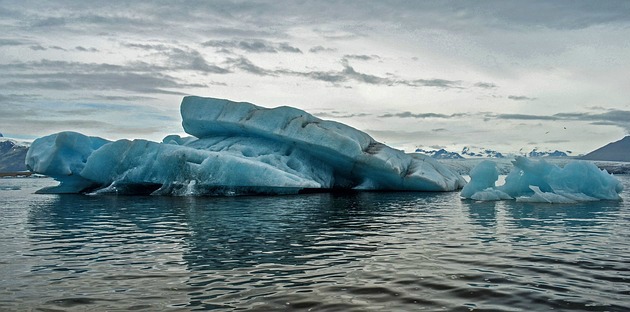 Could this ocean bacteria be our answer to global warming?