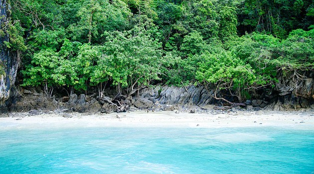 Climate change: Solomon Islands disappearing as sea-levels rise