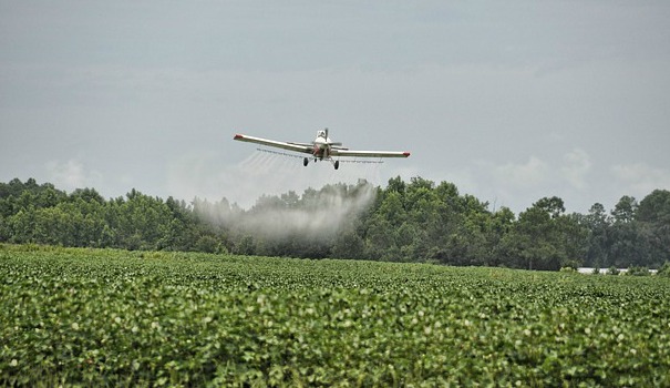 Could pesticide methods be blamed for the rise of autism in children?