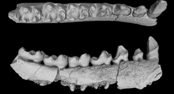 Scientists shocked by something they found in China