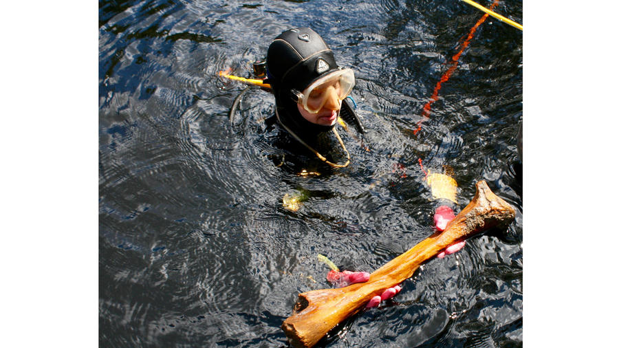 Floridian archaeological find changes American history views