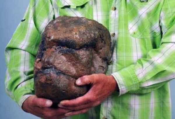 Utah man claims object he found is fossilized skull that proves existence of Bigfoot