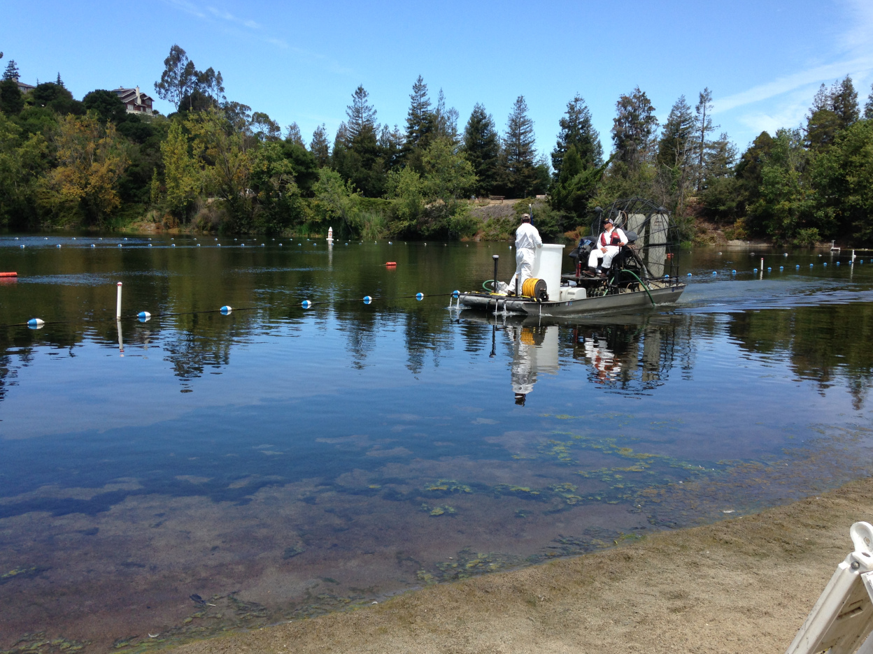 Toxic blue-green algae closes Oakland lake to swimming