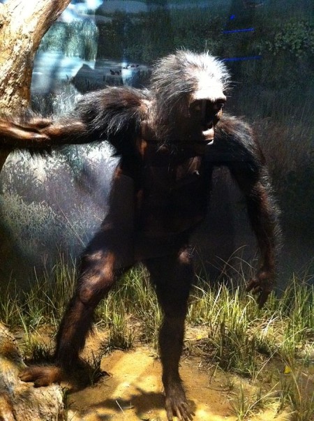 Lucy may have been more chimp than human new study suggests | World