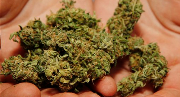 Scientists make shocking marijuana discovery