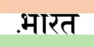 Indian government introduces .Bharat domain name!