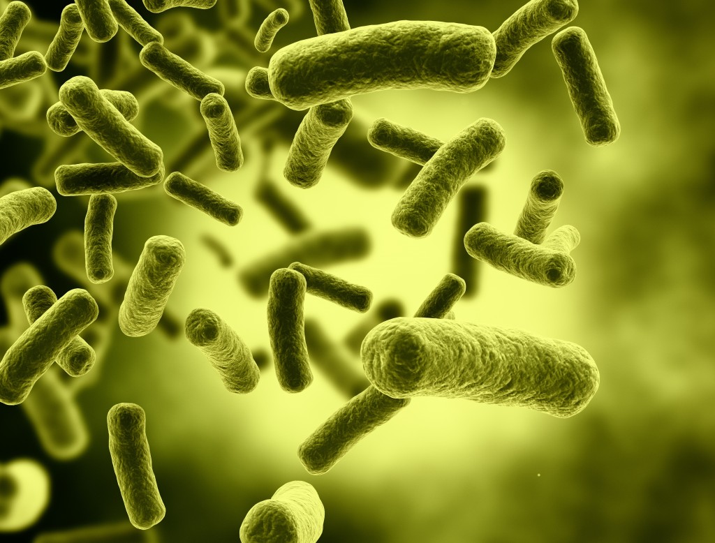 US scientists Re-Code bacteria DNA genetically to control their survival