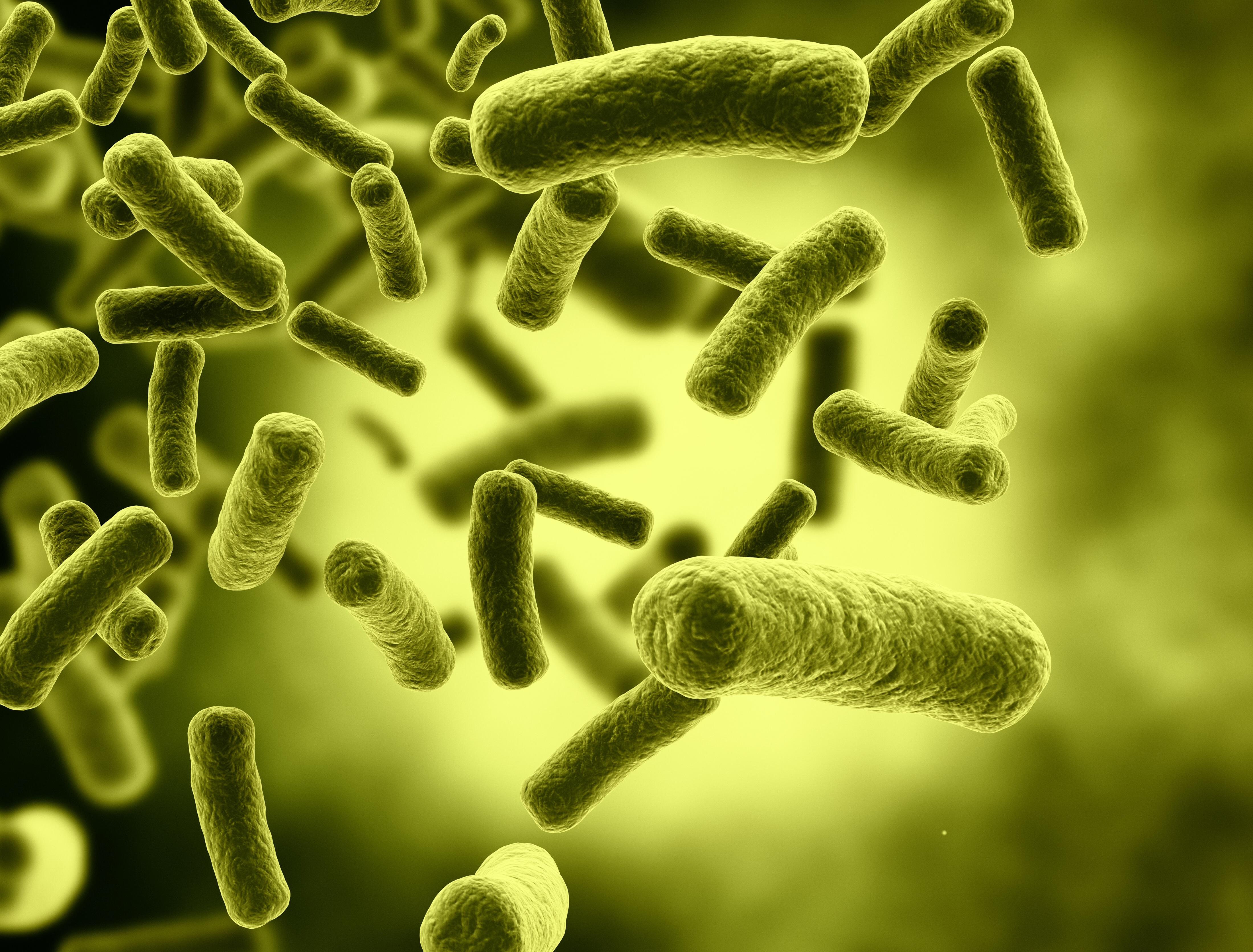 Flesh-eating bacteria kills man after only four days