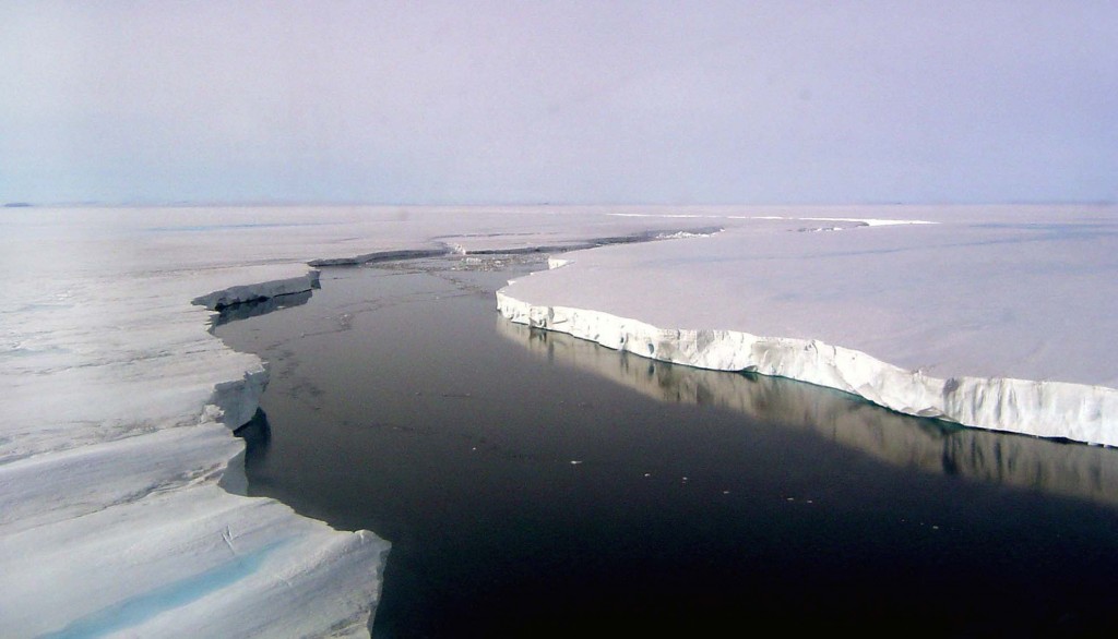 Scientists discover existence of life forms under the thick Antarctic ice sheet