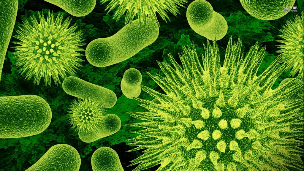 Exposure to a deadly bacteria leads to the recalling of 74000 meals by Amy kitchen