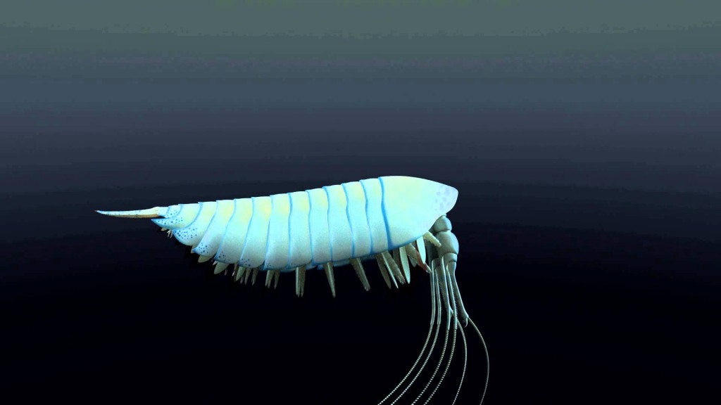 A 4 eyed Yawunik kootenay arthropod discovered